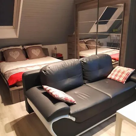 Au Coeur D'alsace Apartment