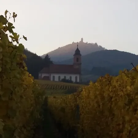 Apartment Au Coeur D'alsace