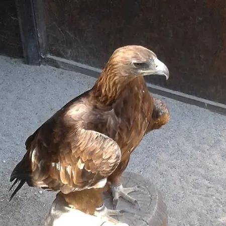 Au Coeur D'alsace Appartement Colmar