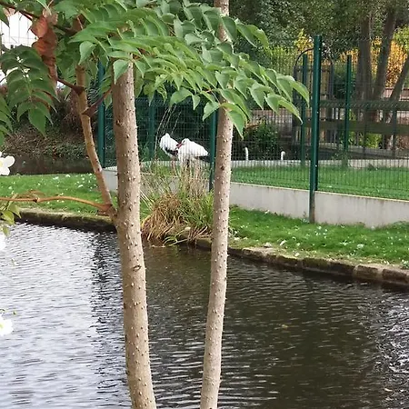 Au Coeur D'alsace * Colmar