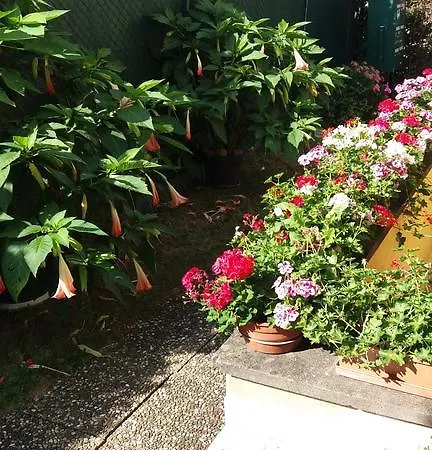 Au Coeur D'alsace Appartement