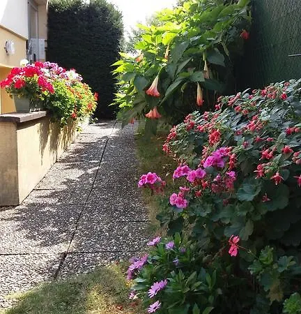 Au Coeur D'alsace *