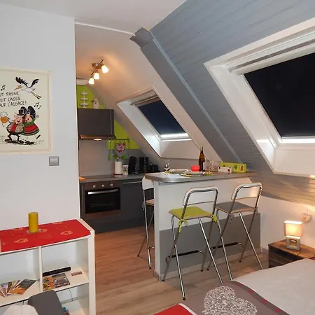 Apartment Au Coeur D'alsace *