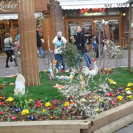 Au Coeur D'alsace Appartement