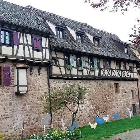 Apartment Au Coeur D'alsace