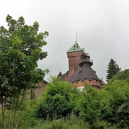 Apartment Au Coeur D'alsace